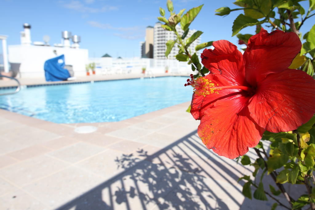 Princess Bayside Beach Hotel Ошен Сити Экстерьер фото