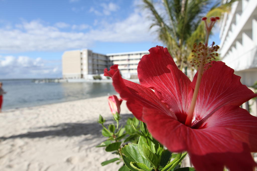 Princess Bayside Beach Hotel Ошен Сити Экстерьер фото